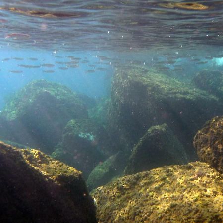 Appartamenti La Quiete Mele Exterior foto
